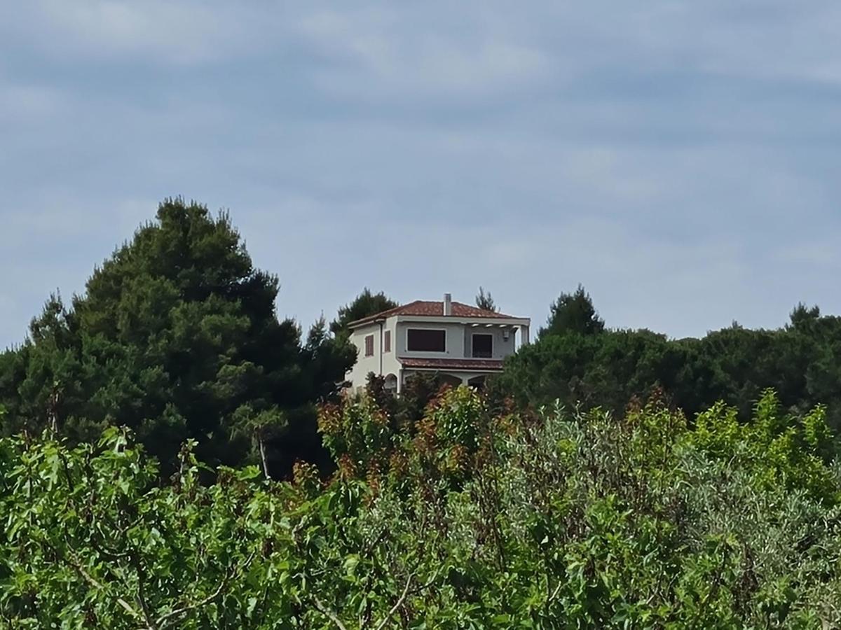 Alghero - House With Panoramic View Immersed In Full Nature Экстерьер фото